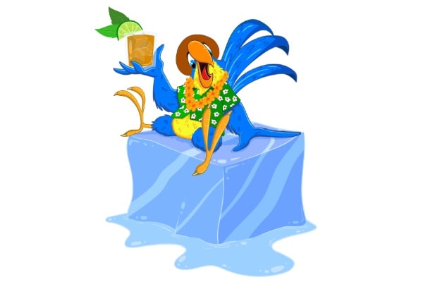 Parrot on a cube of ice drinking